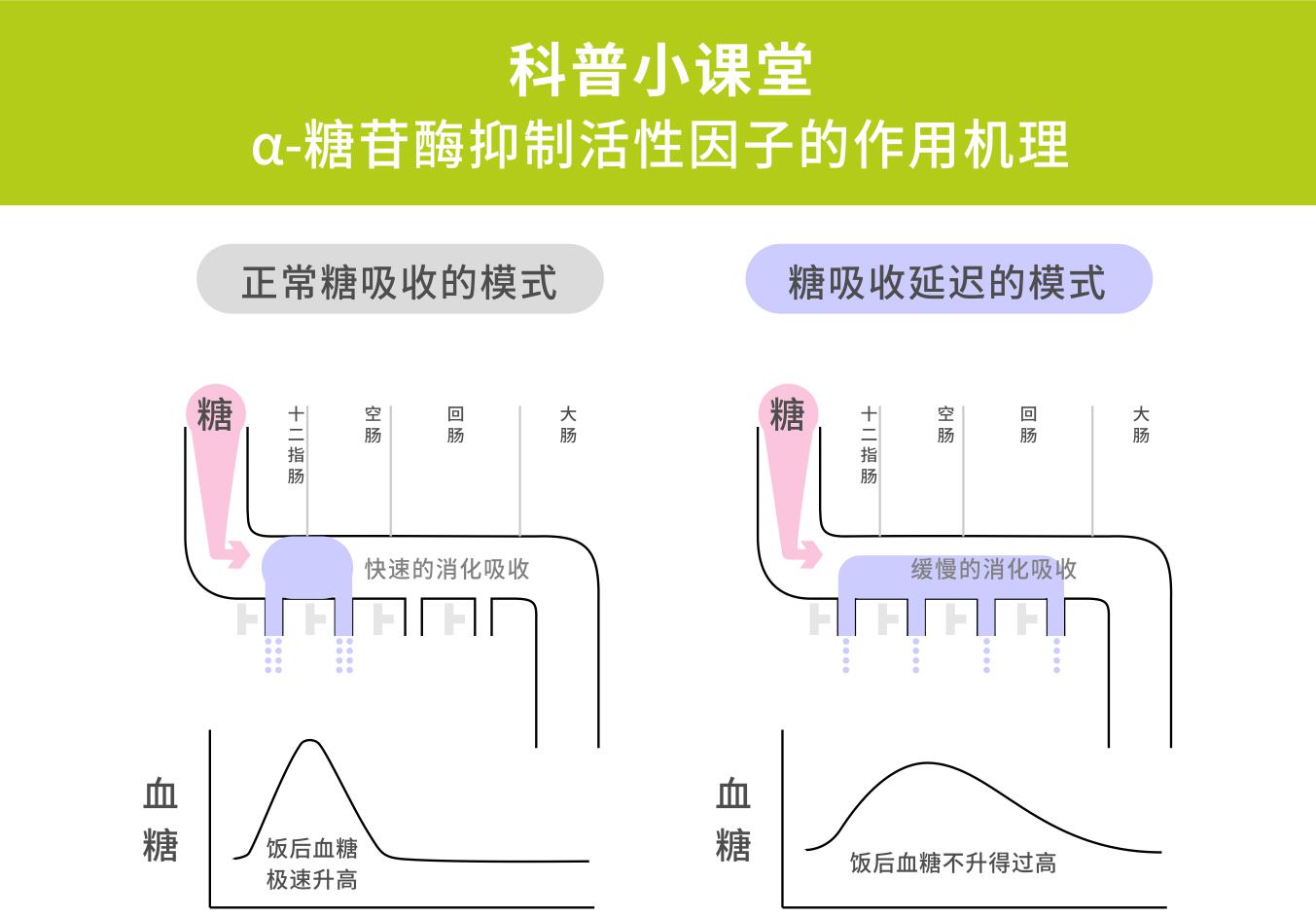 微信图片_20190801133853.jpg